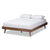 Baxton Studios Bed Full Baxton Studio Jacob Mid-Century Modern Walnut Brown Finished Solid Wood Queen size Bed Frame